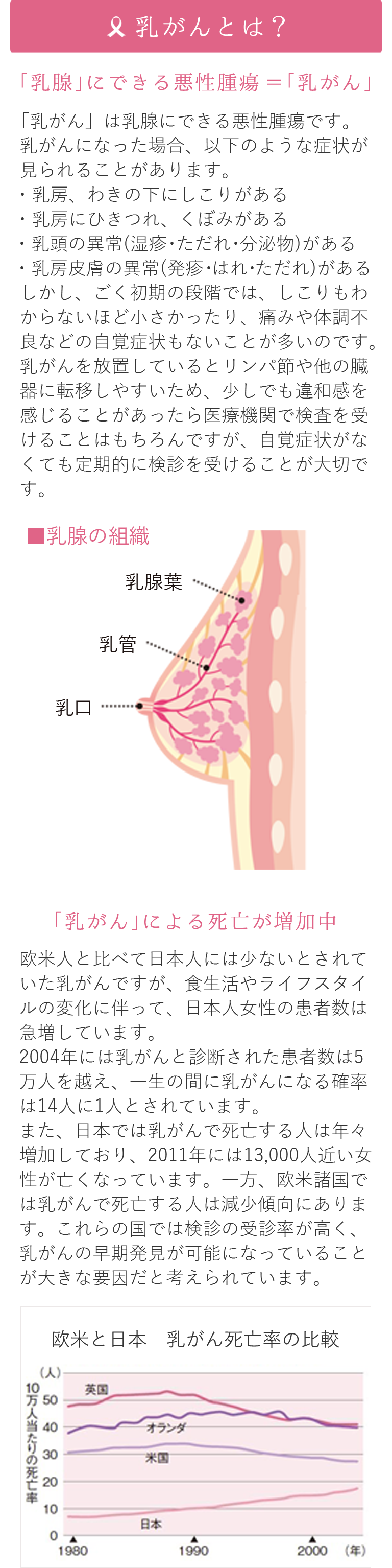 Amazon | Howasuto(ホワスト) 首 サポーター 【現役の医師監修