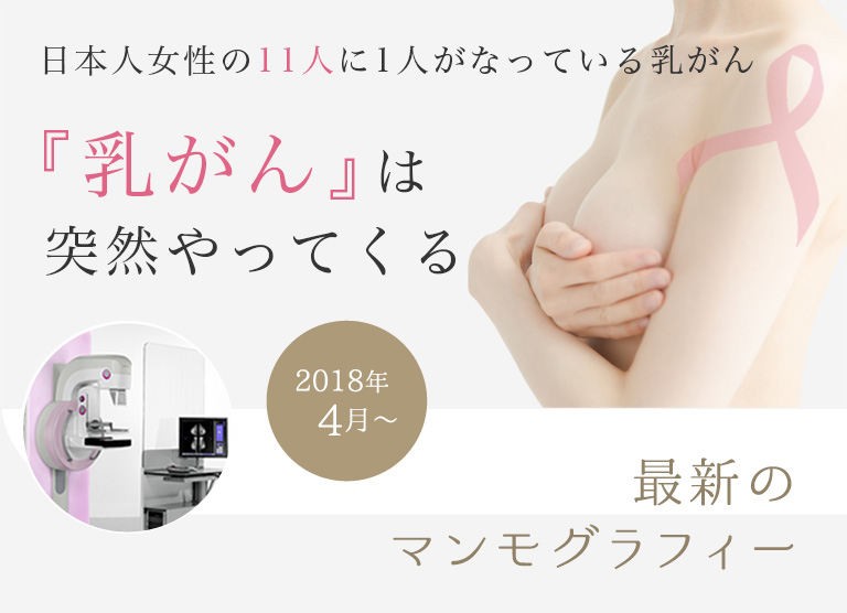 Amazon | Howasuto(ホワスト) 首 サポーター 【現役の医師監修